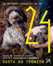 «Охота на трюфели» с Александром Сиамашвили