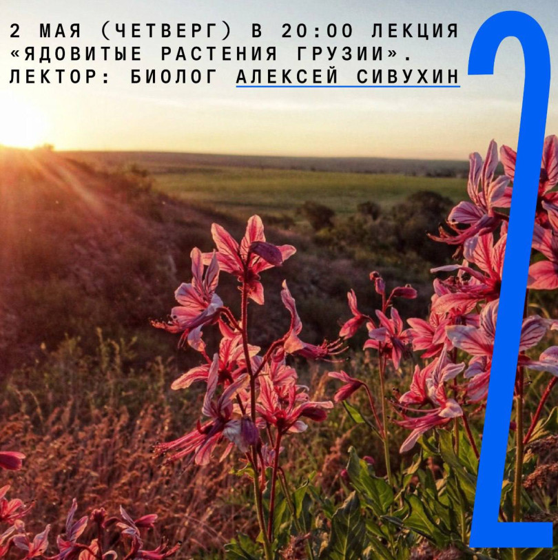 Лекция биолога Алексея Сивухина «Ядовитые растения Грузии»