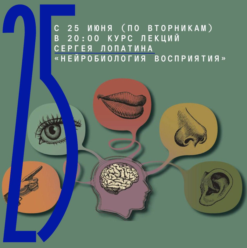 25 ივნისიდან (სამშაბათი) 20:00 საათზე, სერგეი ლოპატინის ლექციების კურსი 