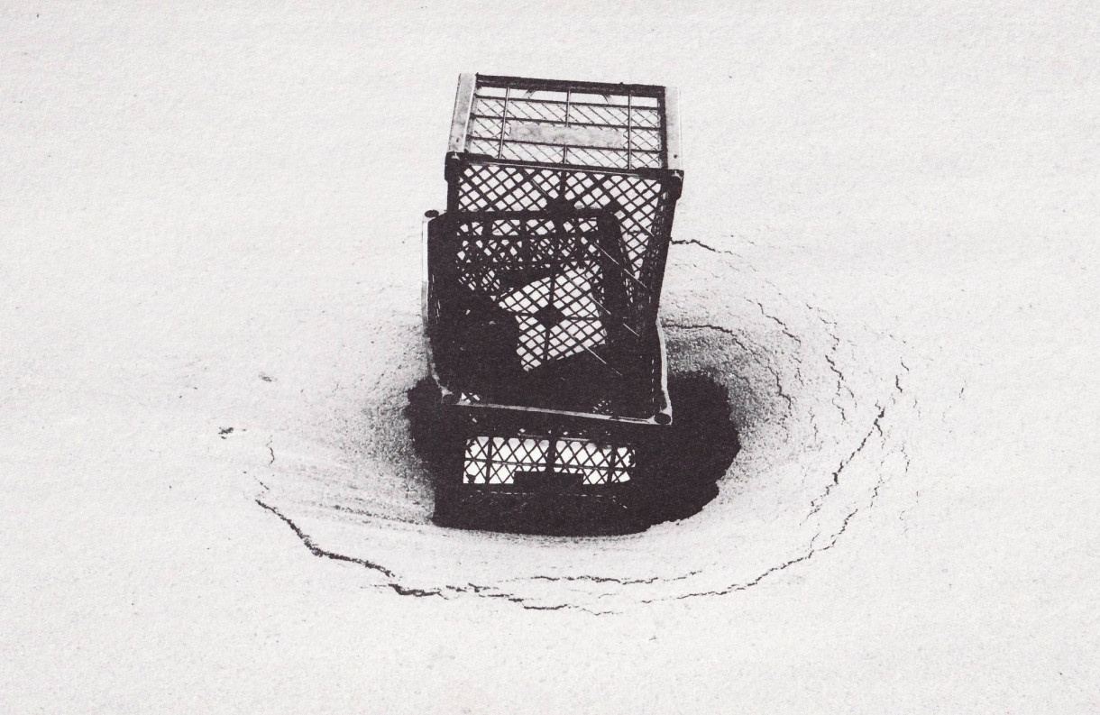 Fest I Nova 2024 presents a group show 