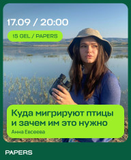 Куда мигрируют птицы и зачем им это нужно