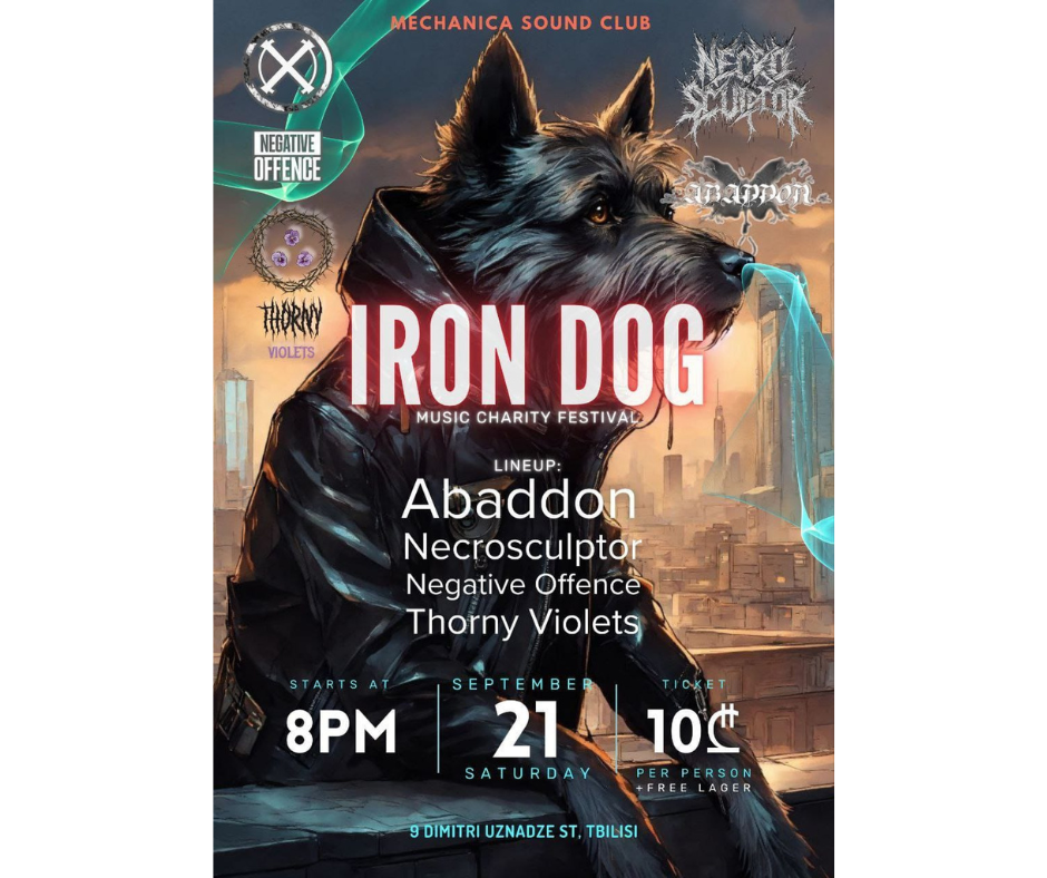 Iron Dog