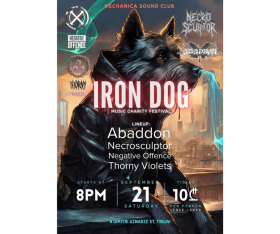 Iron Dog