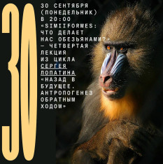 «Simiiformes: что делает нас обезьянами?» — четвертая лекция из цикла Сергея Лопатина «Назад в будущее. Антропогенез обратным ходом»