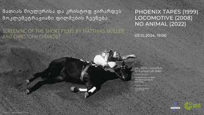 Screening of short films by Matthias Müller and Christophe Girarde