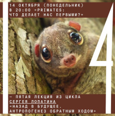 «Primates: что делает нас первыми?» — пятая лекция из цикла Сергея Лопатина «Назад в будущее. Антропогенез обратным ходом»