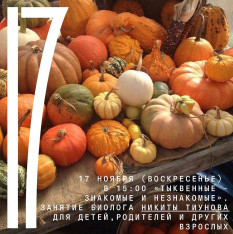 «Тыквенные — знакомые и незнакомые»