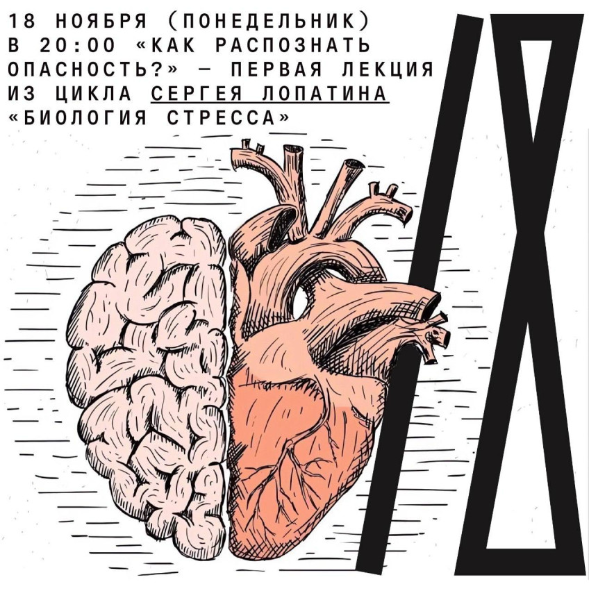 “How to recognize danger?” — the first lecture in Sergei Lopatin’s series “Biology of Stress”