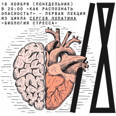 «Как распознать опасность?» — первая лекция из цикла Сергея Лопатина «Биология стресса»
