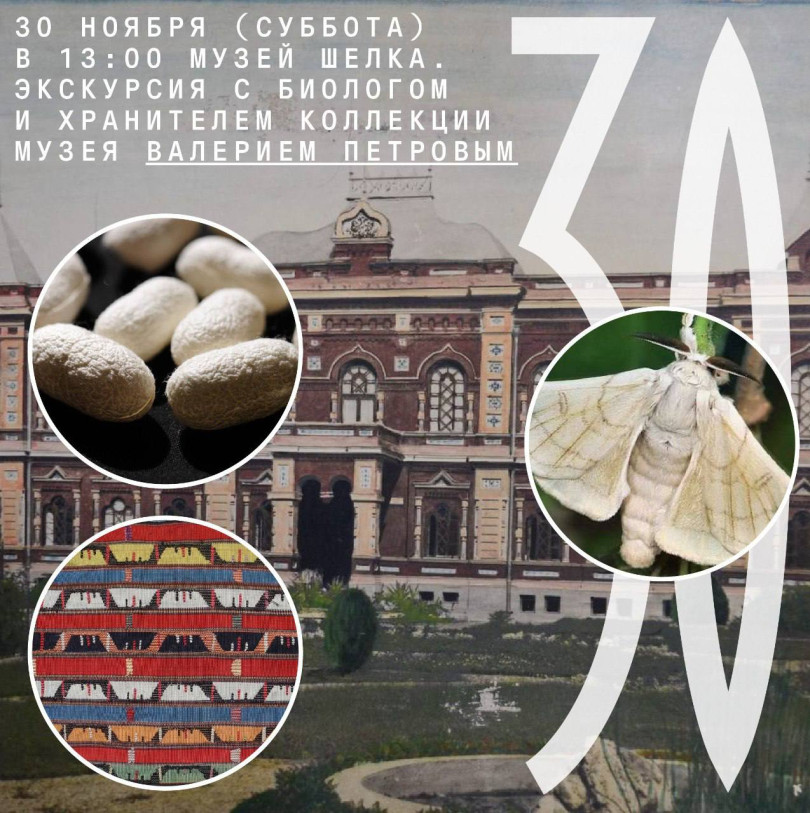 Silk Museum. Tour with biologist and museum collection curator Valery Petrov