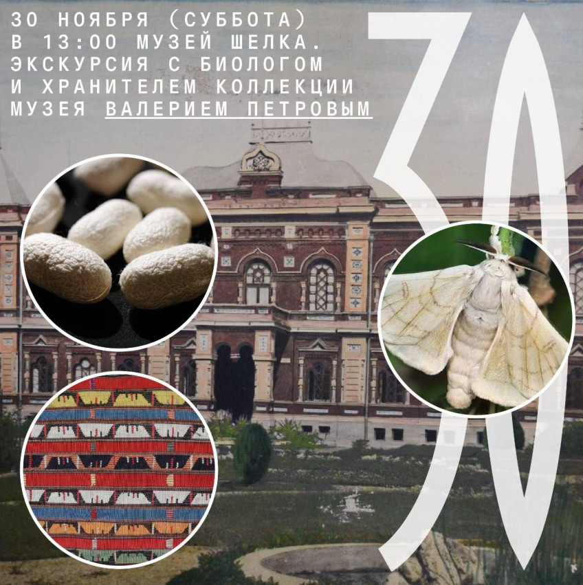 Silk Museum. Tour with biologist and museum collection curator Valery Petrov