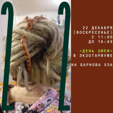 «День змеи» в Экзотариуме