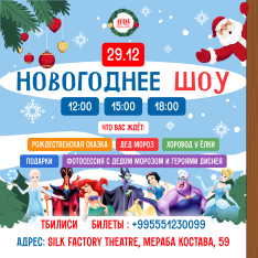 Новогоднее шоу