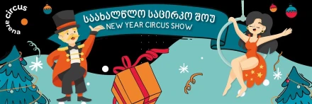 New Year's circus show