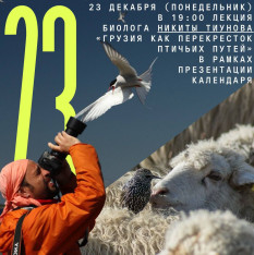 Лекция биолога Никиты Тиунова «Грузия как перекресток птичьих путей» в рамках презентации календаря