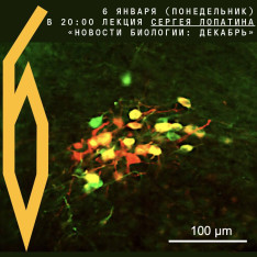 Лекция Сергея Лопатина «Новости биологии: декабрь»
