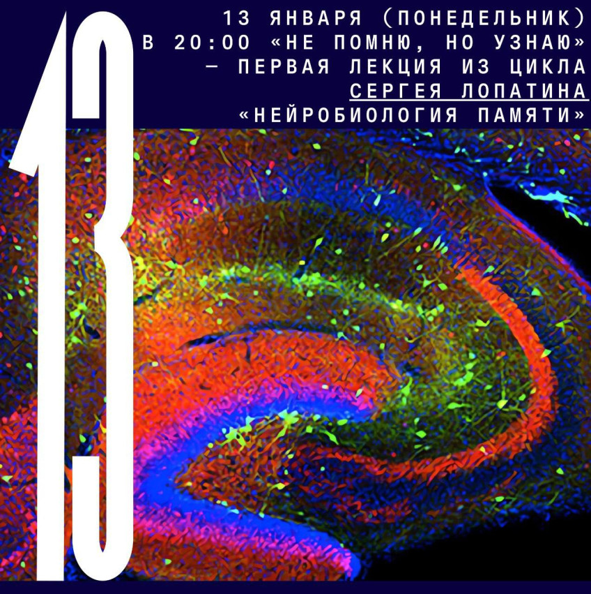 Neurobiology of memory