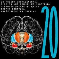 «Не помню, но чувствую» — вторая лекция из цикла Сергея Лопатина «Нейробиология памяти»