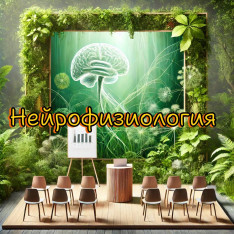 ნეიროფიზიოლოგია