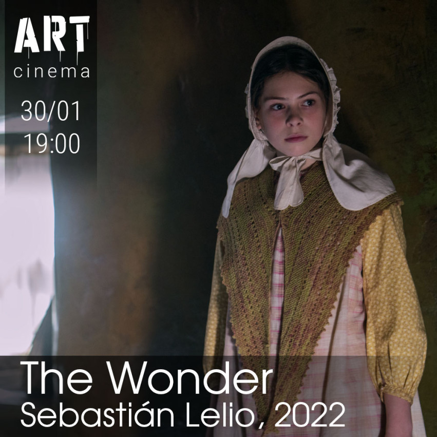 The Wonder