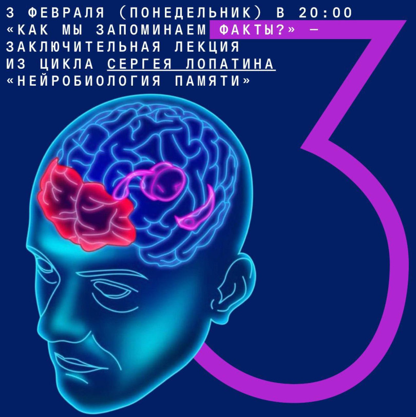 “How do we remember facts?” — final lecture from the series by Sergei Lopatin