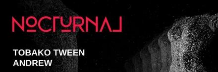 Nocturnal - Levi Love Disco / Autumn Tree