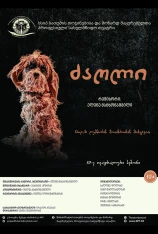 A dog