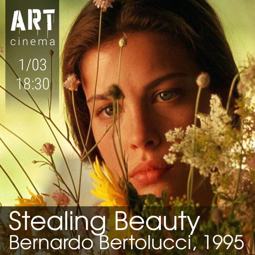 Stealing Beauty