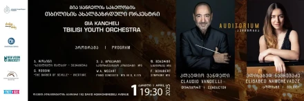 თბილისის ახალგაზრდული ორკესტრის კონცერტი