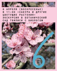 «Сакура и другие цветущие растения» экскурсия в ботанический сад Тбилиси с биологом 