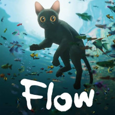 Flow