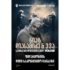 ნიაზ დიასამიძე & 33ა