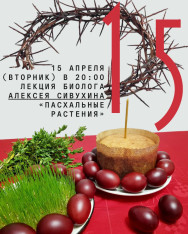 Лекция 