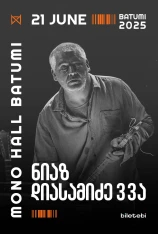 ნიაზ დიასამიძე 33ა