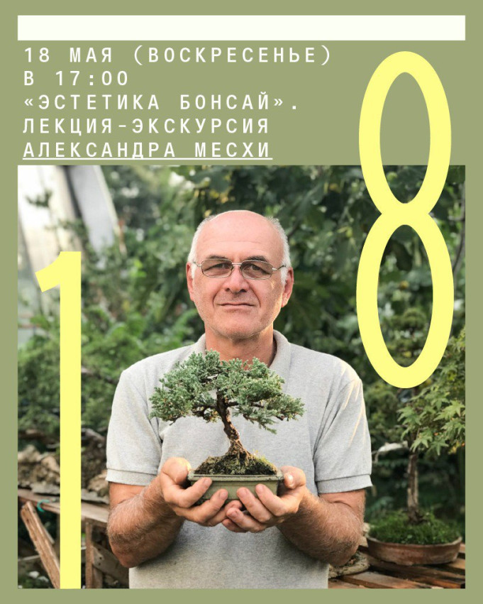 Lecture & Tour by Alexander Meskhi: 