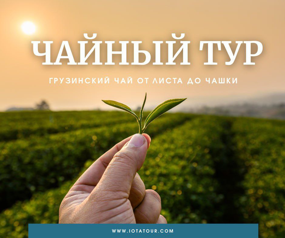 ტური „ჩაის გზა“