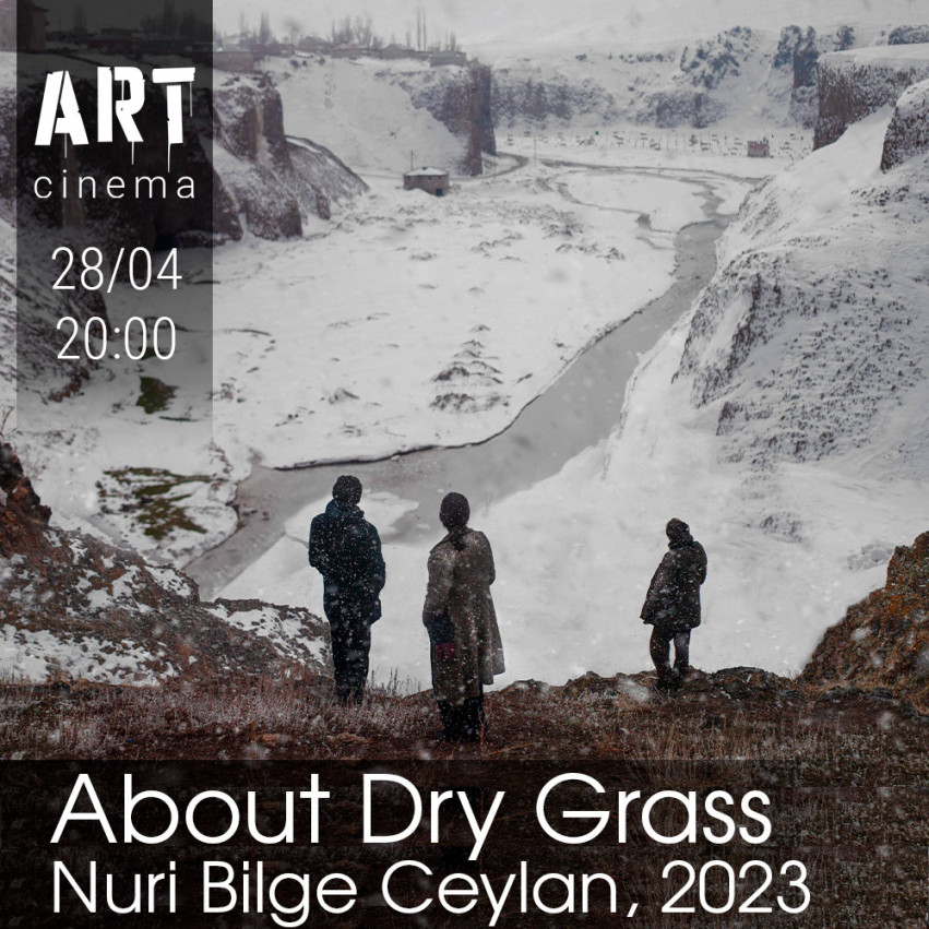 About Dry Grass