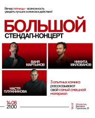 Большой стендап-концерт
