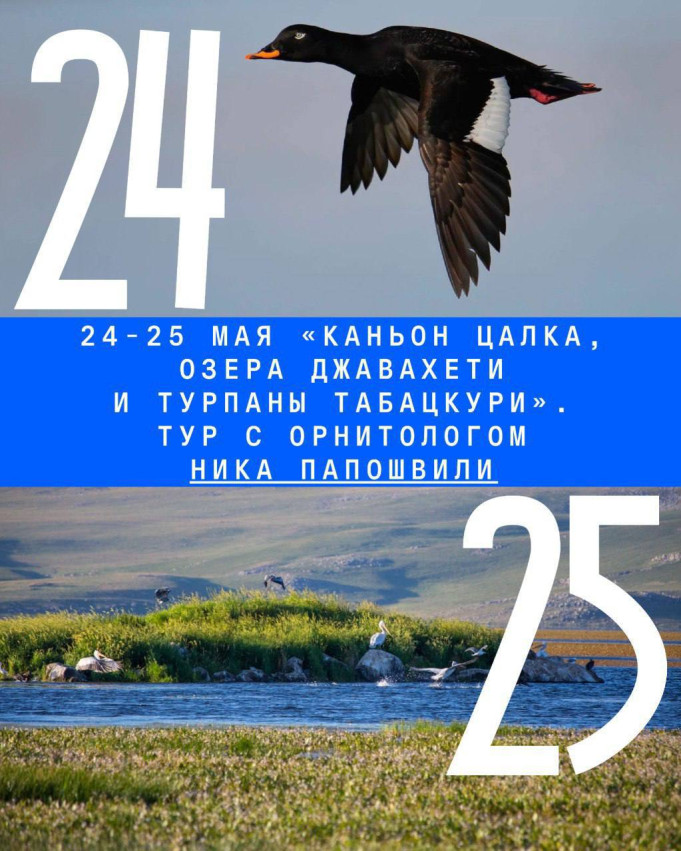 „ცალკის კანიონი, ჯავახეთის ტბები და ტურპანები ტაბაცკურში“