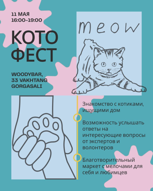 КОТОФЕСТ МОРЕ КОТОВ
