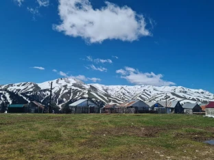 One-day trip with a biologist Bakhmaro, Gadrekili Mountain