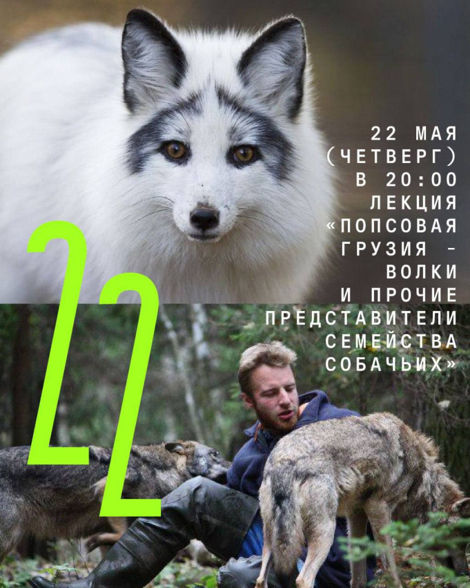 Lecture: “Dogged Georgia — Wolves and Other Local Canids”