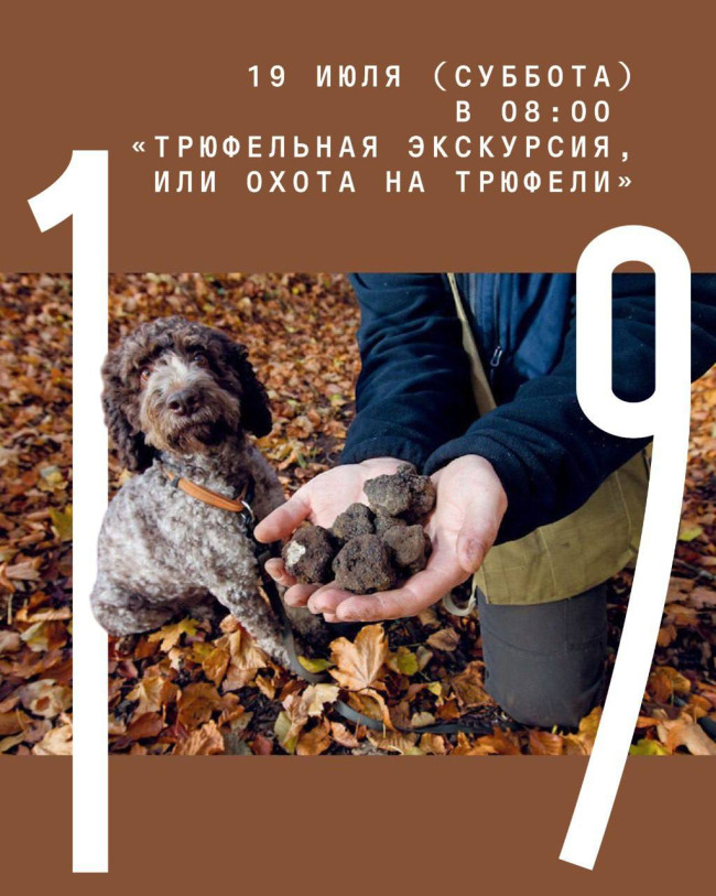 „ტრიუფლის ექსკურსია ან ტრიუფლის მონადირეობა“