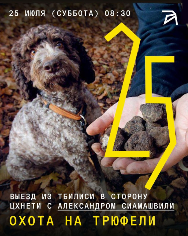 „ტრიუფლის ექსკურსია ან ტრიუფლის მონადირეობა“