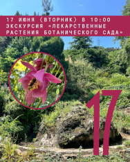 Tour: “Medicinal Plants of the Botanical Garden”