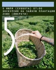 Excursion to Zemo Tea Plantation (Imereti)