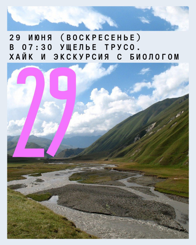 Truso Gorge: Hike and Excursion with a Biologist