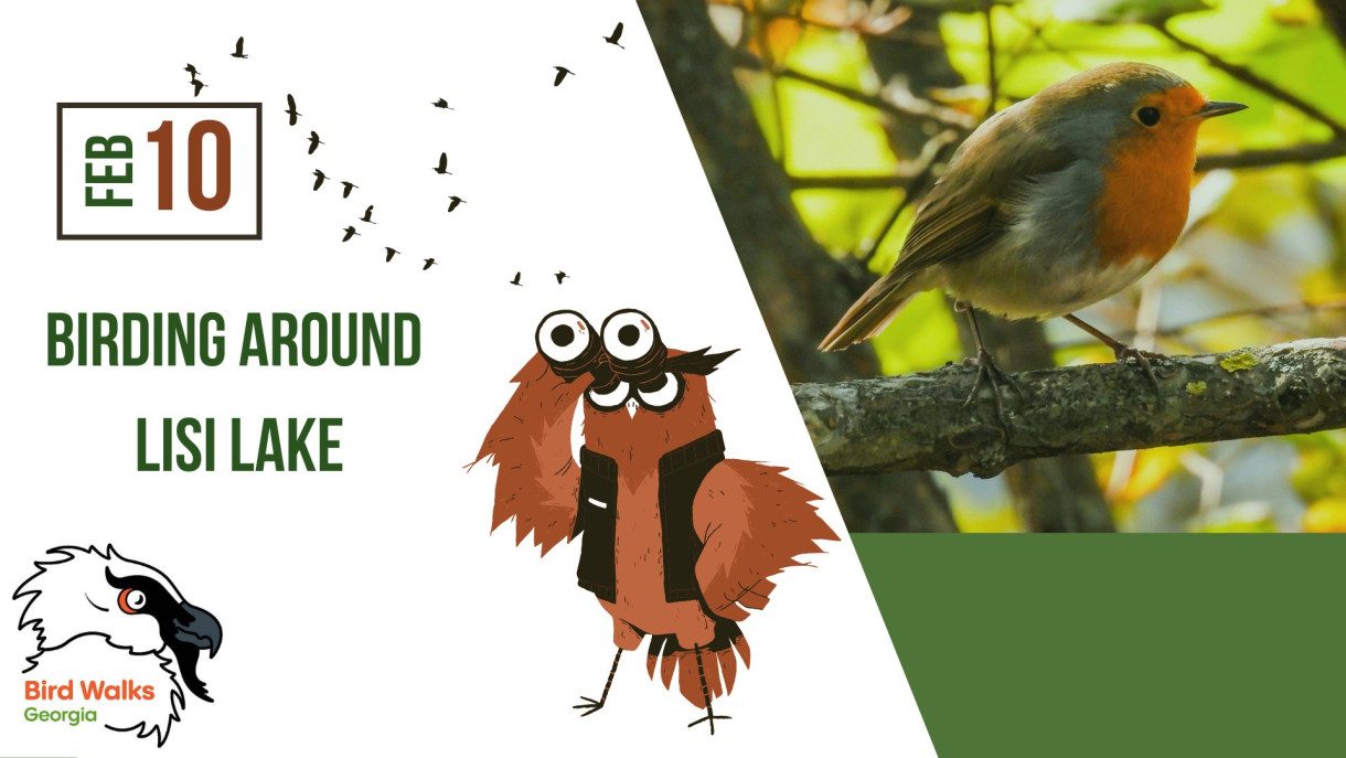 Birding around Lisi Lake