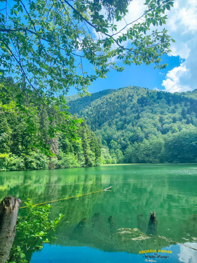 ლაშქრობა: ბათეტის ტბა