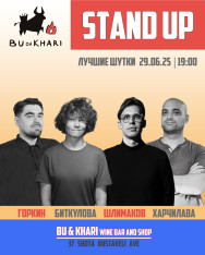Stand-up concert: the best jokes